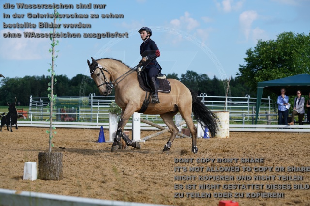 s_K3F05517.JPG